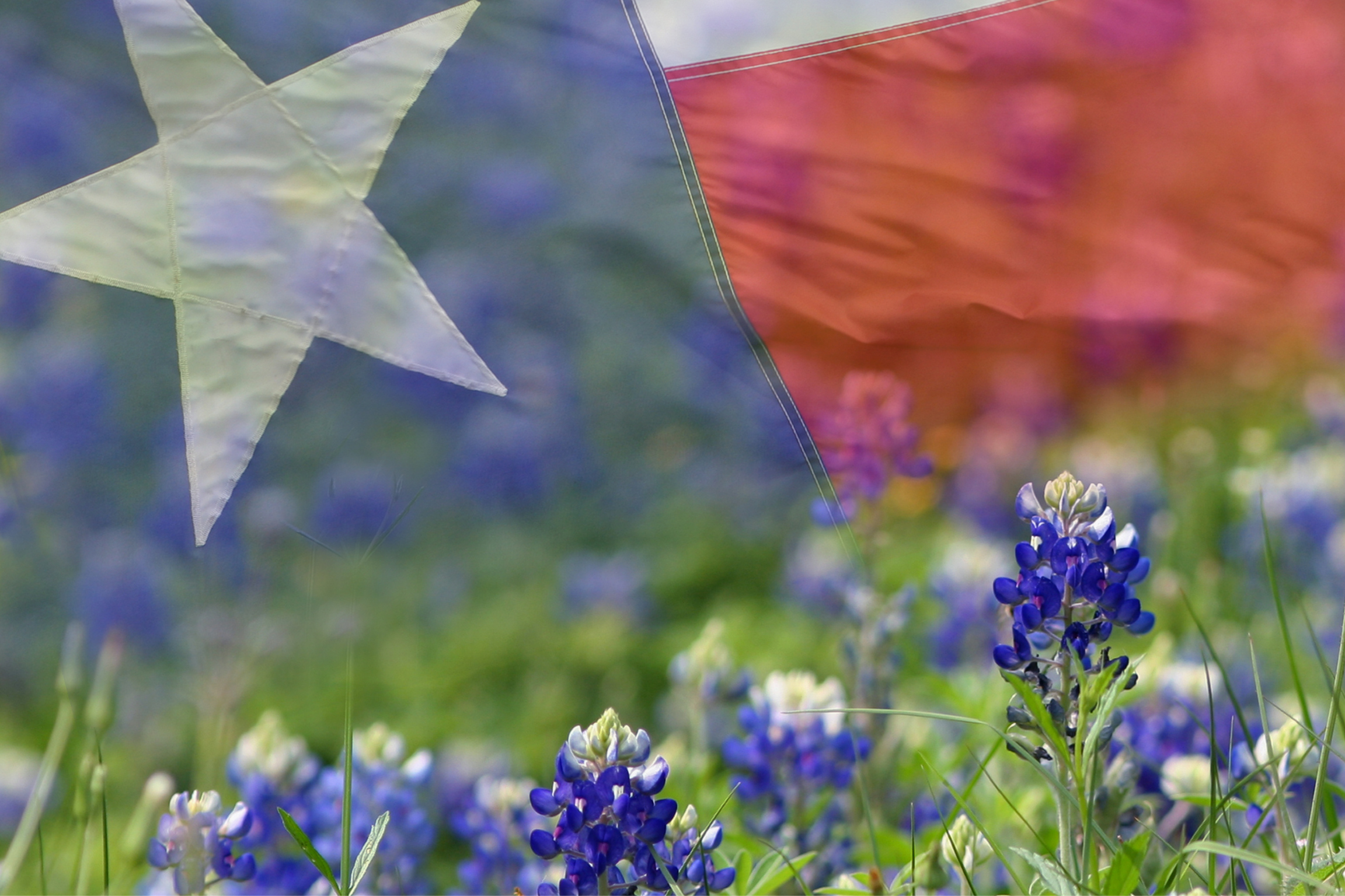 Discover how a reverse mortgage keeps your Texas homestead exemption, school tax benefits, and creditor protections fully intact.